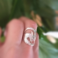 phoenix_ring03.jpg