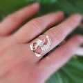 phoenix_ring04.jpg