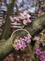 cherryblossom_kol03.jpg