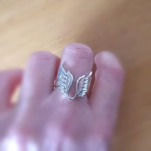 wings_p1.jpg