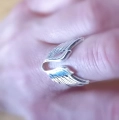 wings_p4.jpg